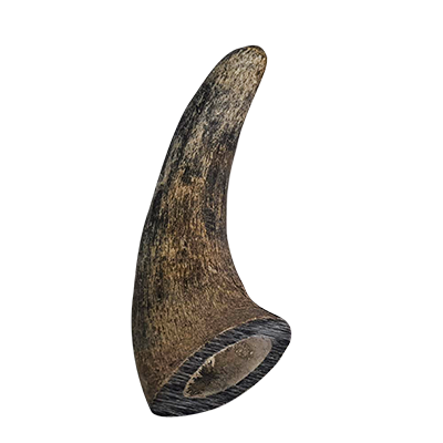 Horn-Small-2